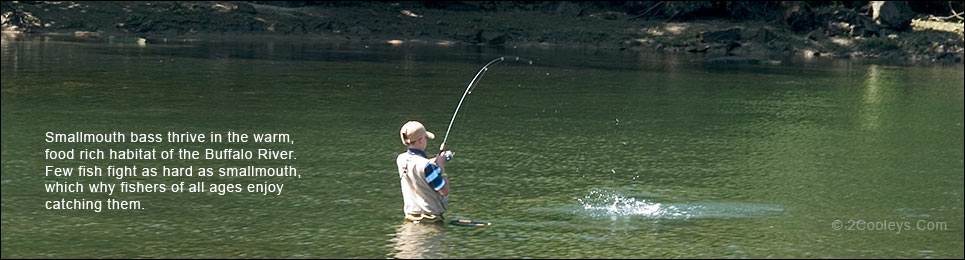 ventura99: Buffalo National River Fly Fishing