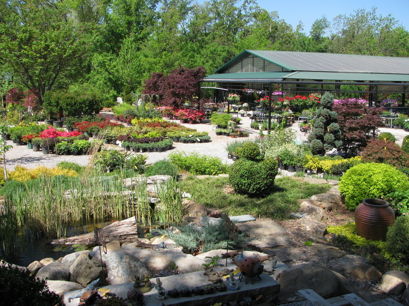 Nursery & Garden Center Kelley Thomas Landscape & Nursery