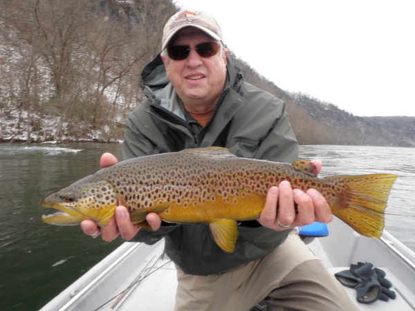 Brown Trout Dallys Ozark Fly Fisher