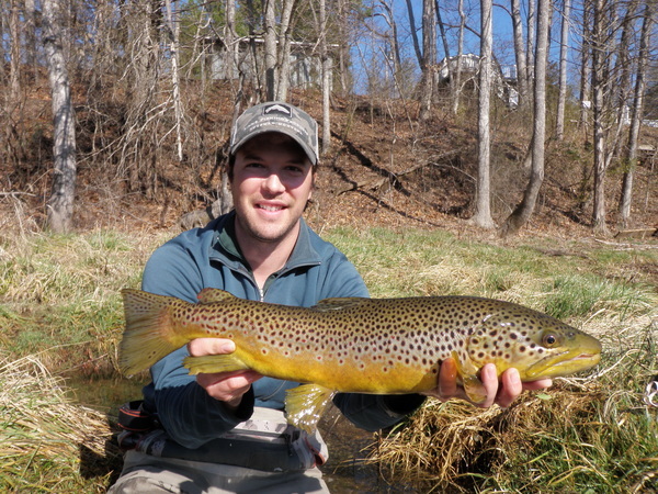 Brown Trout - Dally's Ozark Fly Fisher