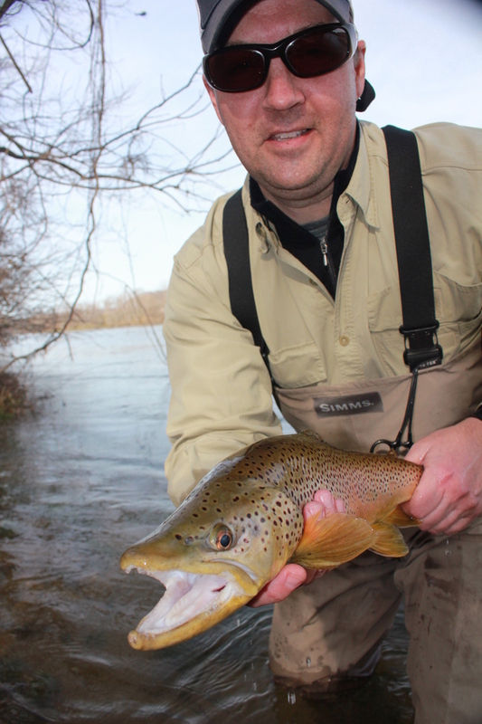 Brown Trout - Dally's Ozark Fly Fisher