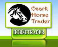 Ozark Horse Trader