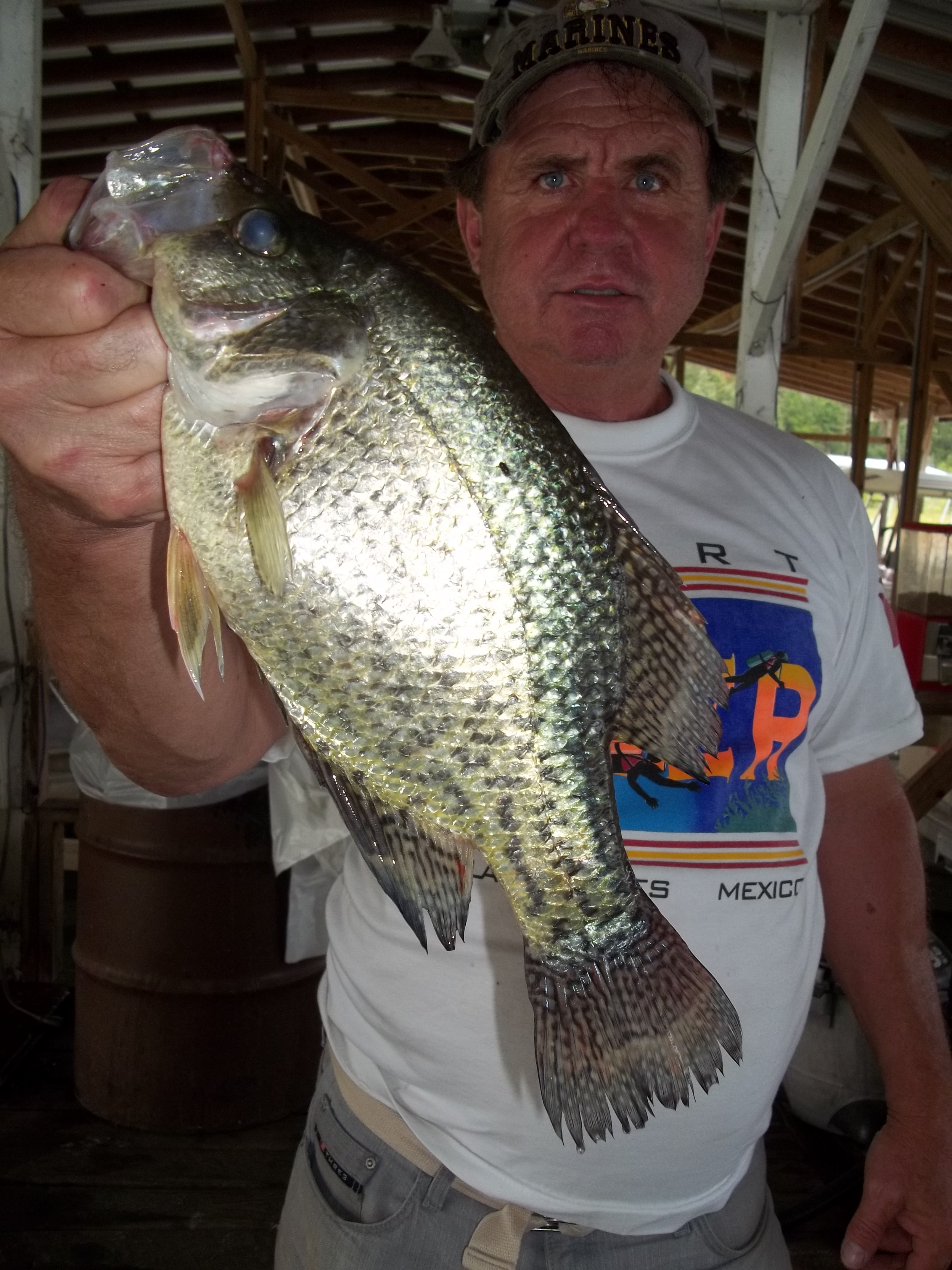 Crappie fishing report lake of the ozarks