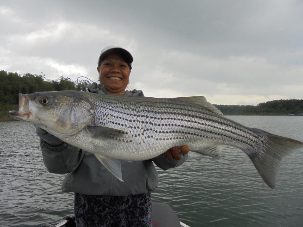 Stripper fishing reports smith lake alabama