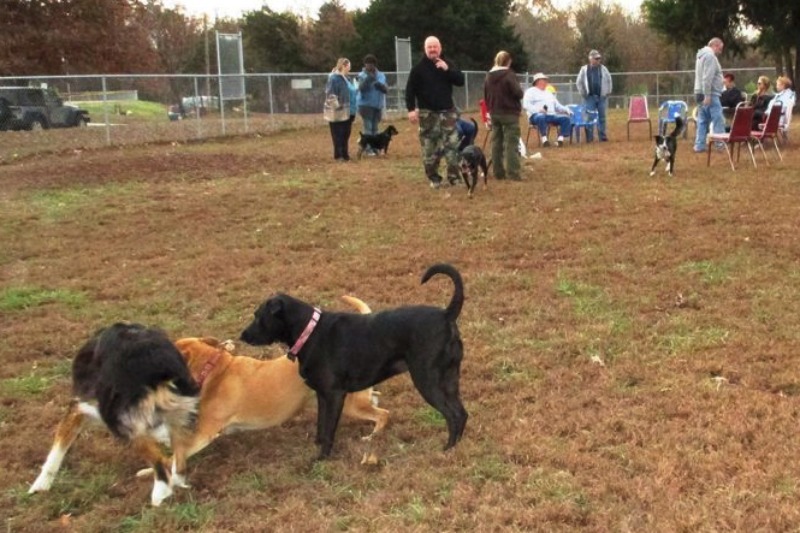 Mountain Home Dog Park CENTURY 21 LeMac Realty Mountain Home, AR