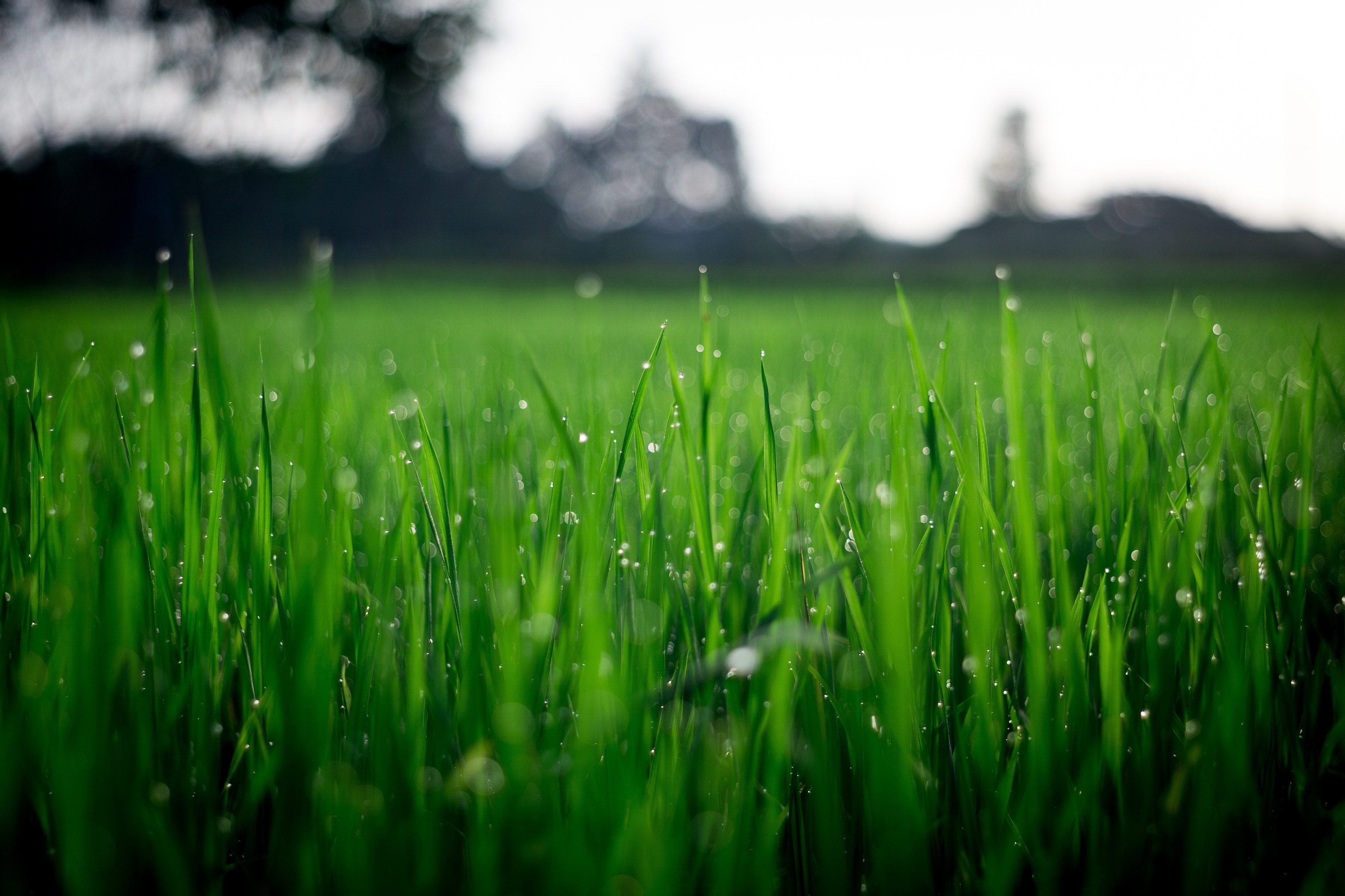 Zero turn mowers are environmentally friendly. 