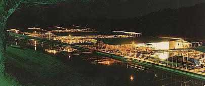 Buzzard Roost Boat Dock
